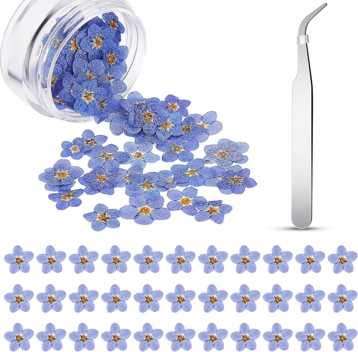 80 Stuks Natuurlijke Vergeet-Mij-Niet Drogen en Geperste Bloemen voor Decoratie en Ambachten
