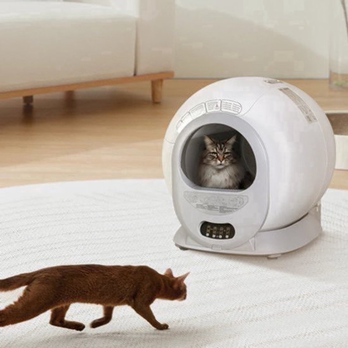 Automatische Kattenbak – Slimme Kattenbak – Zelfreinigende Kattenbak – Automatische Kattenbak Met App – Hygiënische Kattenbak – Compact Ontwerp – Geschikt Voor Diverse Kattenbakvullingen