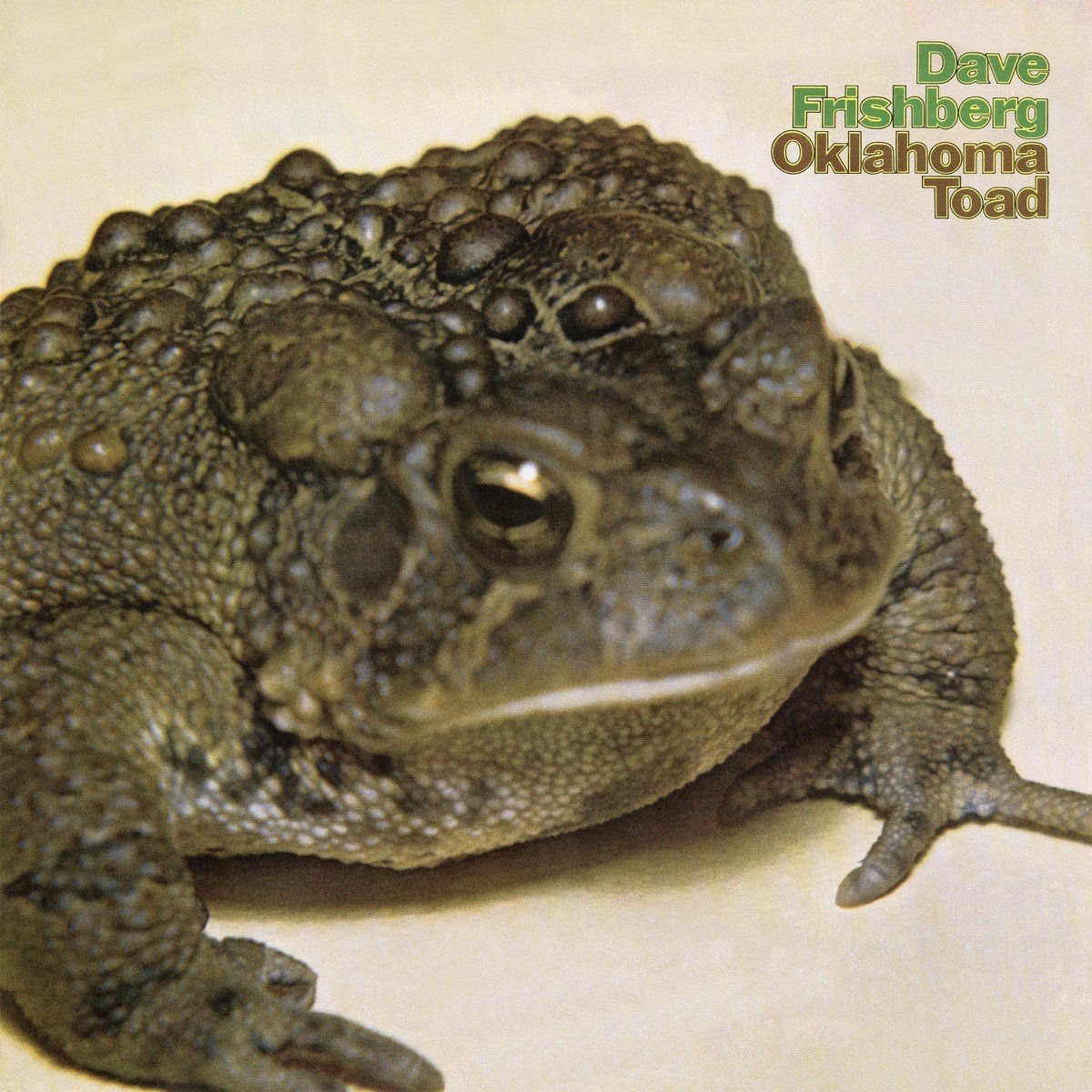 Dave Frishberg - Oklahoma Toad (2 LP)