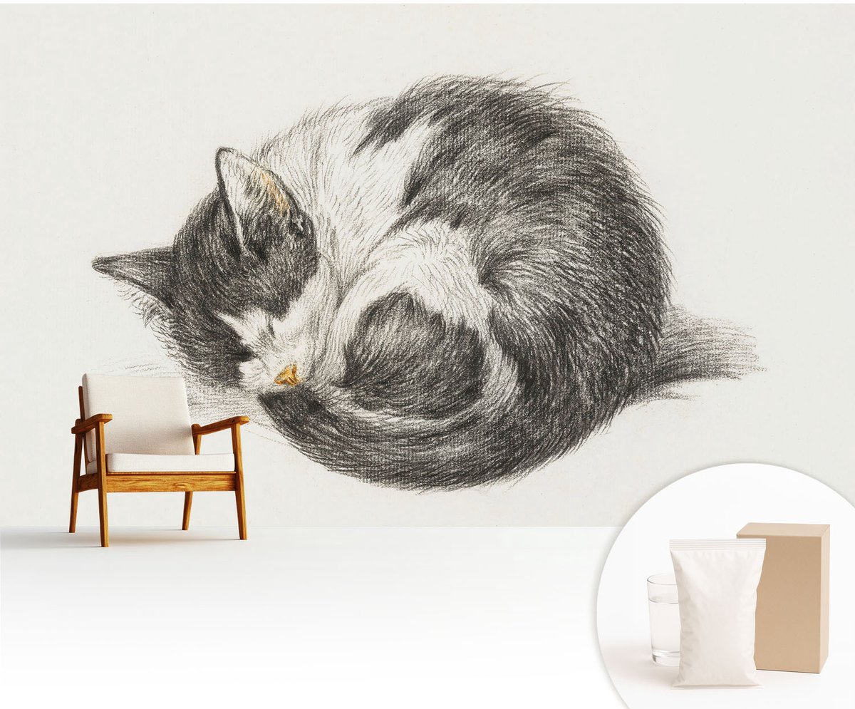 Wallfluent Fotobehang - Zwart-Wit Vliesbehang - 416x254 cm - Schattig Katje Muurschildering - Slaapkamer behang Dieren - Fotobehang Vlies - Slaapkamer behang