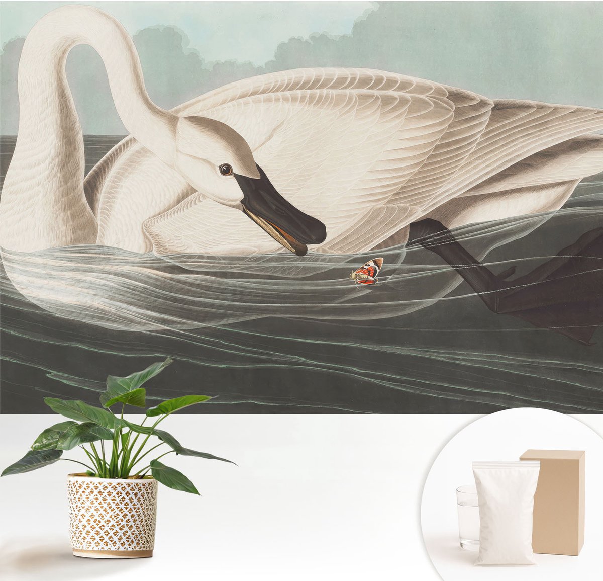 Wallfluent Fotobehang - Wit Vliesbehang - 152x104 cm - Harmonie Van De Natuur Fotobehang Vlies - Woonkamer behang Dieren - Muurschildering - Hal behang