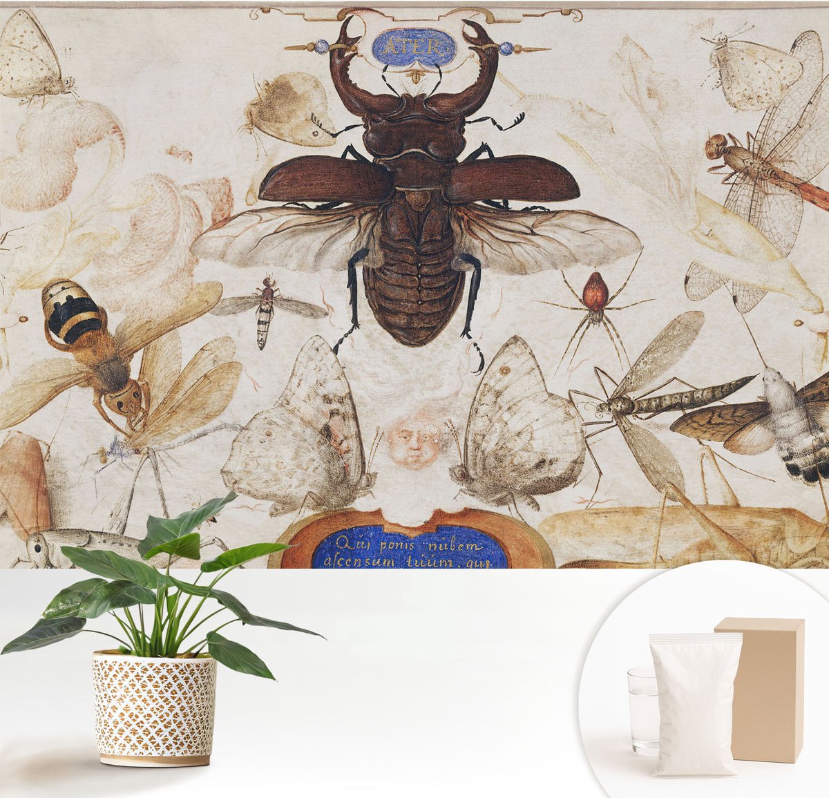 Wallfluent Fotobehang - Wit Vliesbehang - 152x104 cm - Natuurlijke Harmonie Muurschildering - Gang behang Ander - Fotobehang Vlies - Gang behang