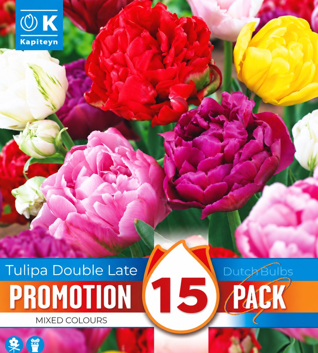 Tulpenbollen Double Mixed Colours – 15 stuks – Dubbelbloemige Tulpen – Voorjaarsbloeier