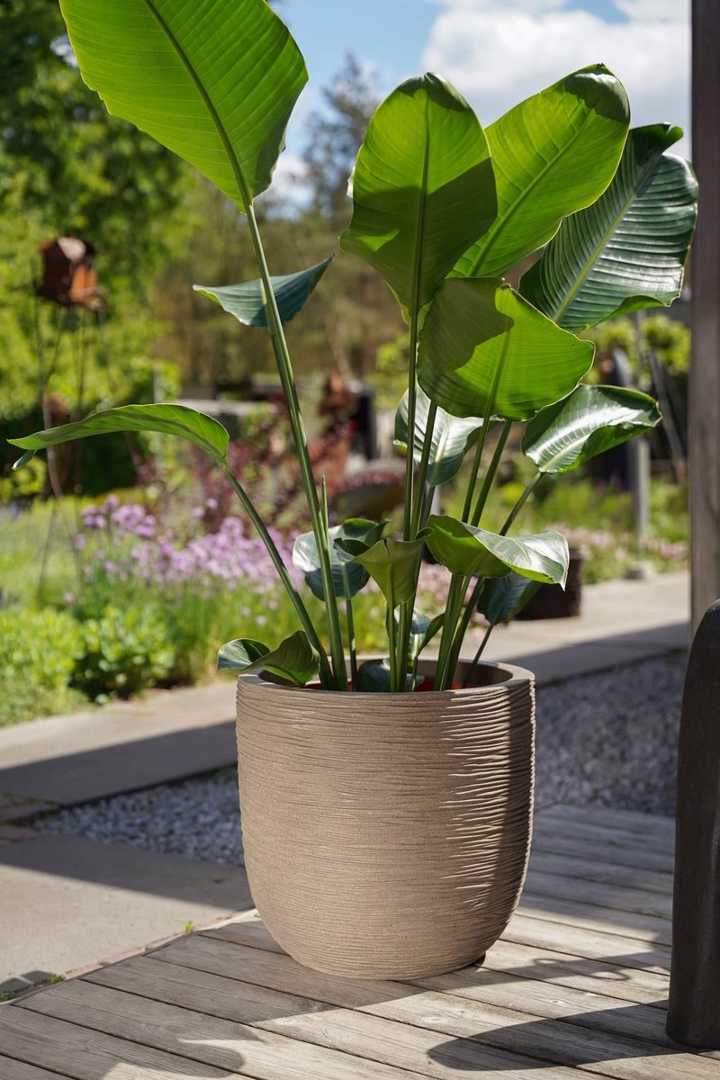 Capi Europe Bowl Flower Pot Rib NL - 35x34 - Pebble