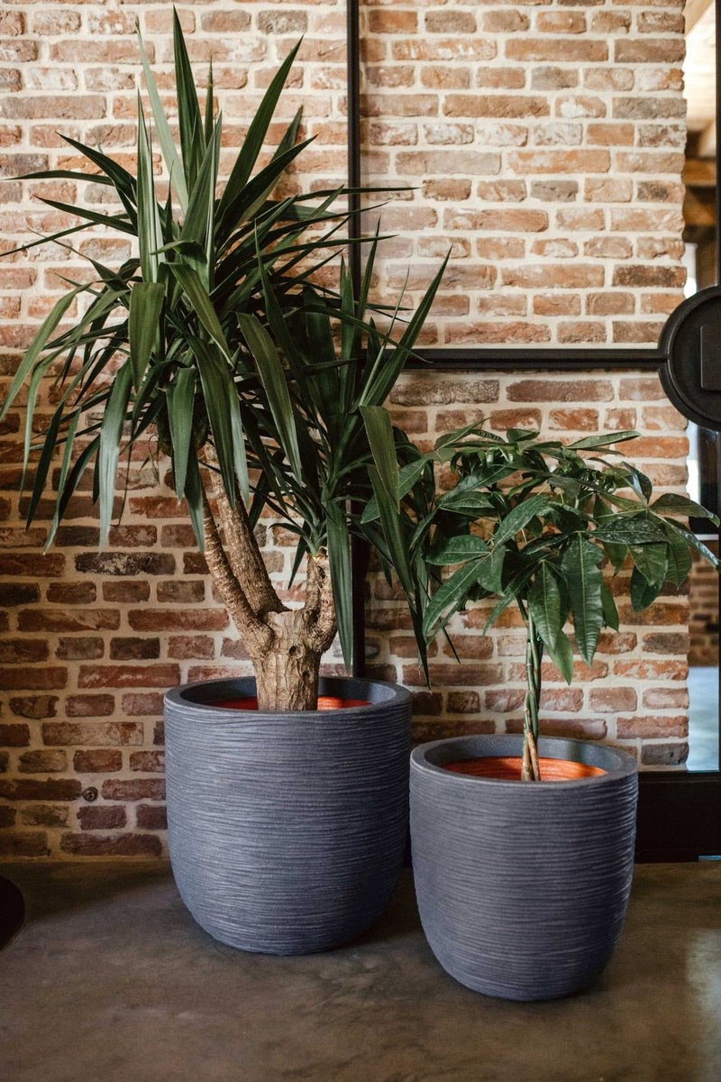 Capi Europe Bowl Flower Pot Rib NL - 35x34 - Pebble