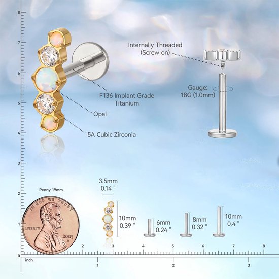 Limerencia 18G Tragus Piercing, Medische Titanium Lippiercing Met 6 mm 8 mm 10 mm Staafjes, Hypoallergene Helix Piercing Oor, Labret Stud Voor Navel Tong Wenkbrauw Lip Septum Neus (Kleur Q) — afbeelding 3