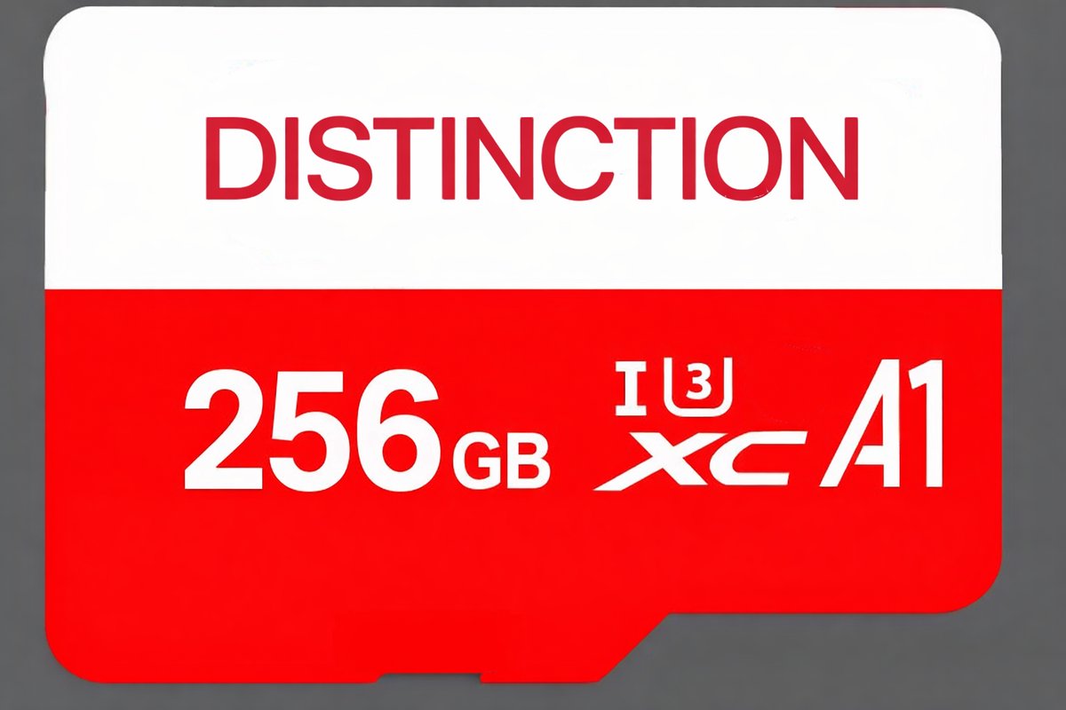 MicroSDXC 256GB – Class 10 U3 – tot 65 MB/s – Inclusief SD-adapter – Alleen voor SDXC-apparaten