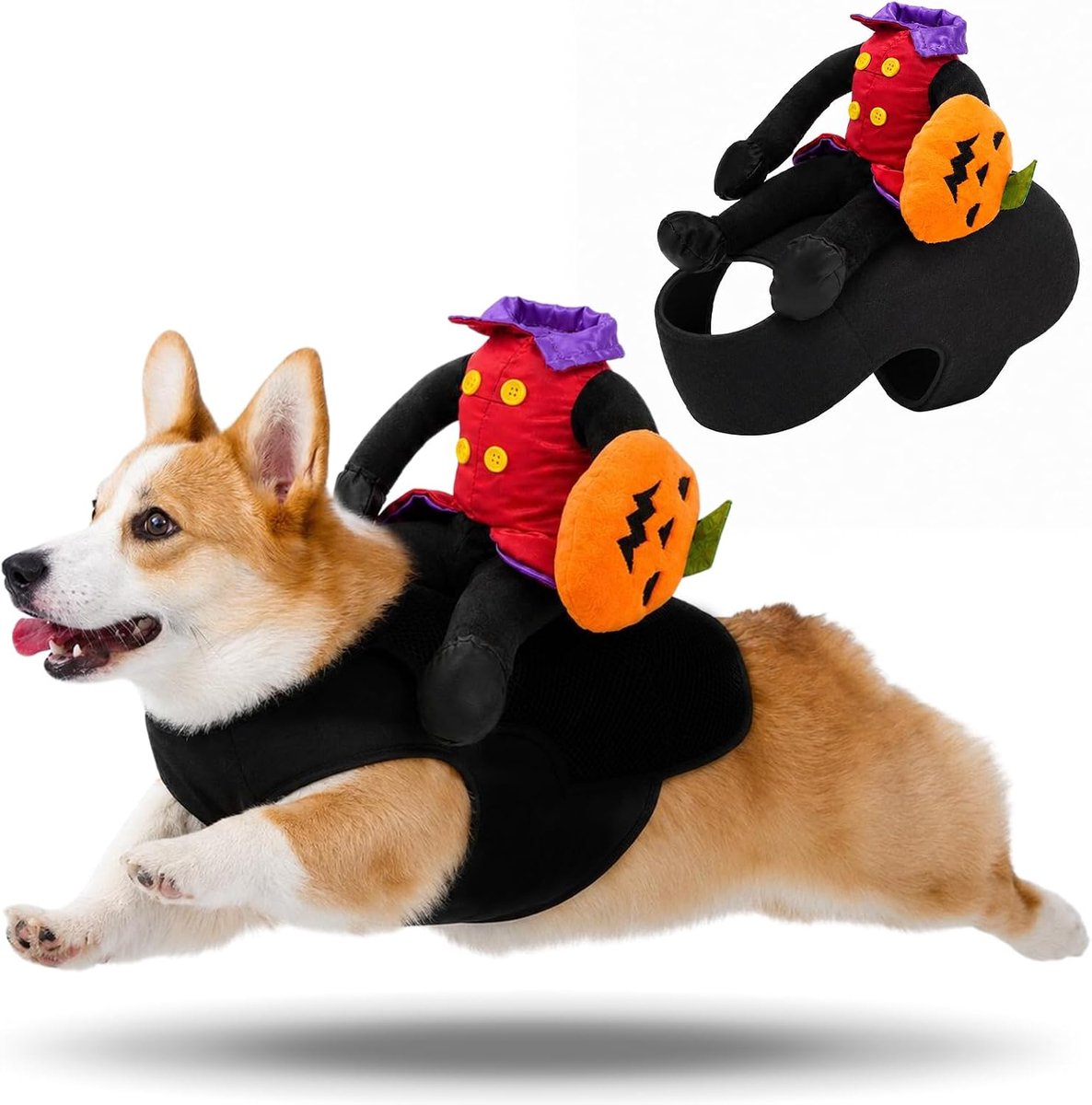 Halloween-kostuum voor kleine honden, Halloween-kostuum, hondenkleding (M