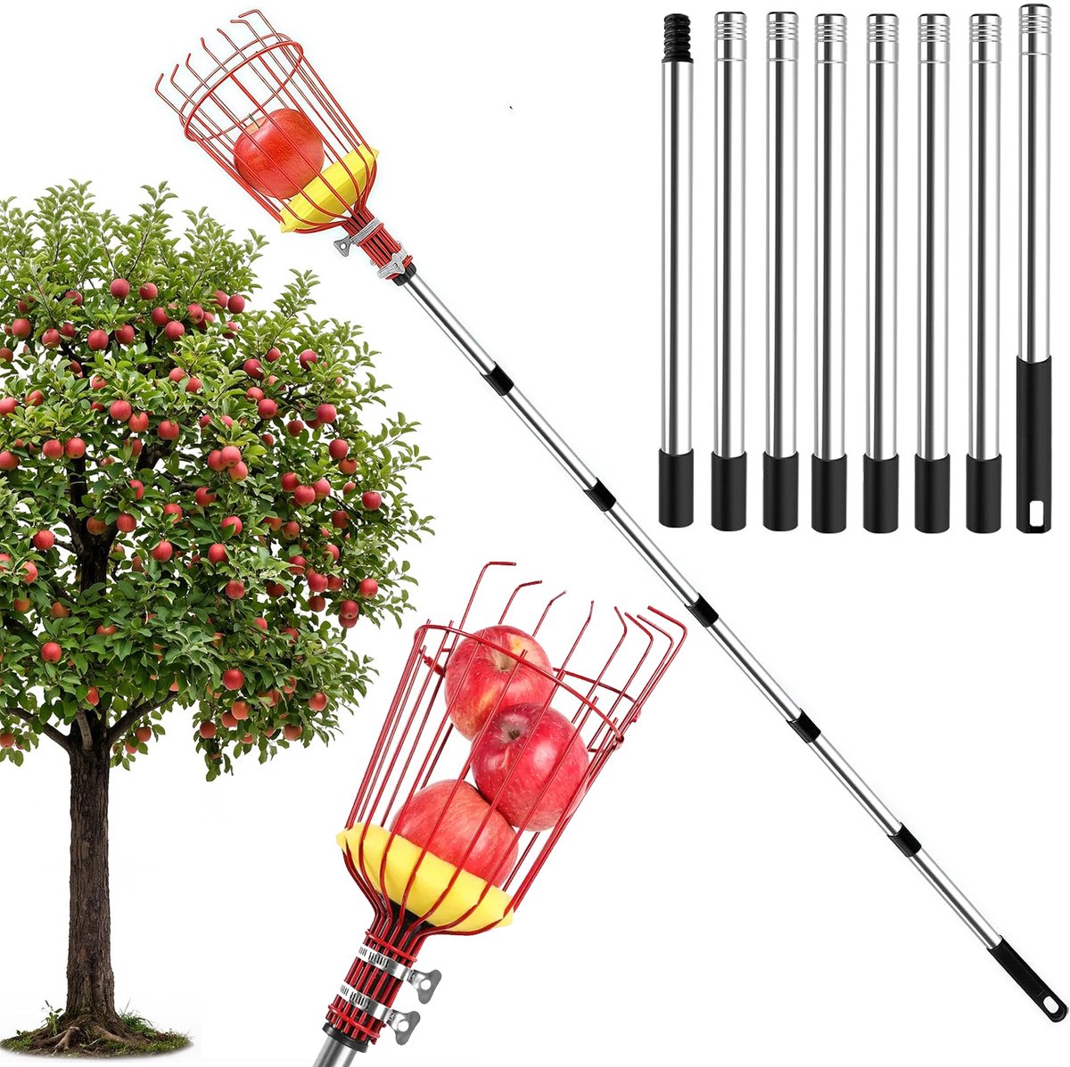 Fruitplukker Met Telescopische Steel - Appelplukker - Tuinierhulpmiddelen Met Schuimkussen - Fruitplukker Voor Sinaasappels Citroenen