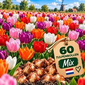 Tulpen Bloembollen - 60 stuks - Meerkleurig - Bloem Bollen Mix - Tulpenbollen Cadeau - Bloemen - winterhard - meerjarig