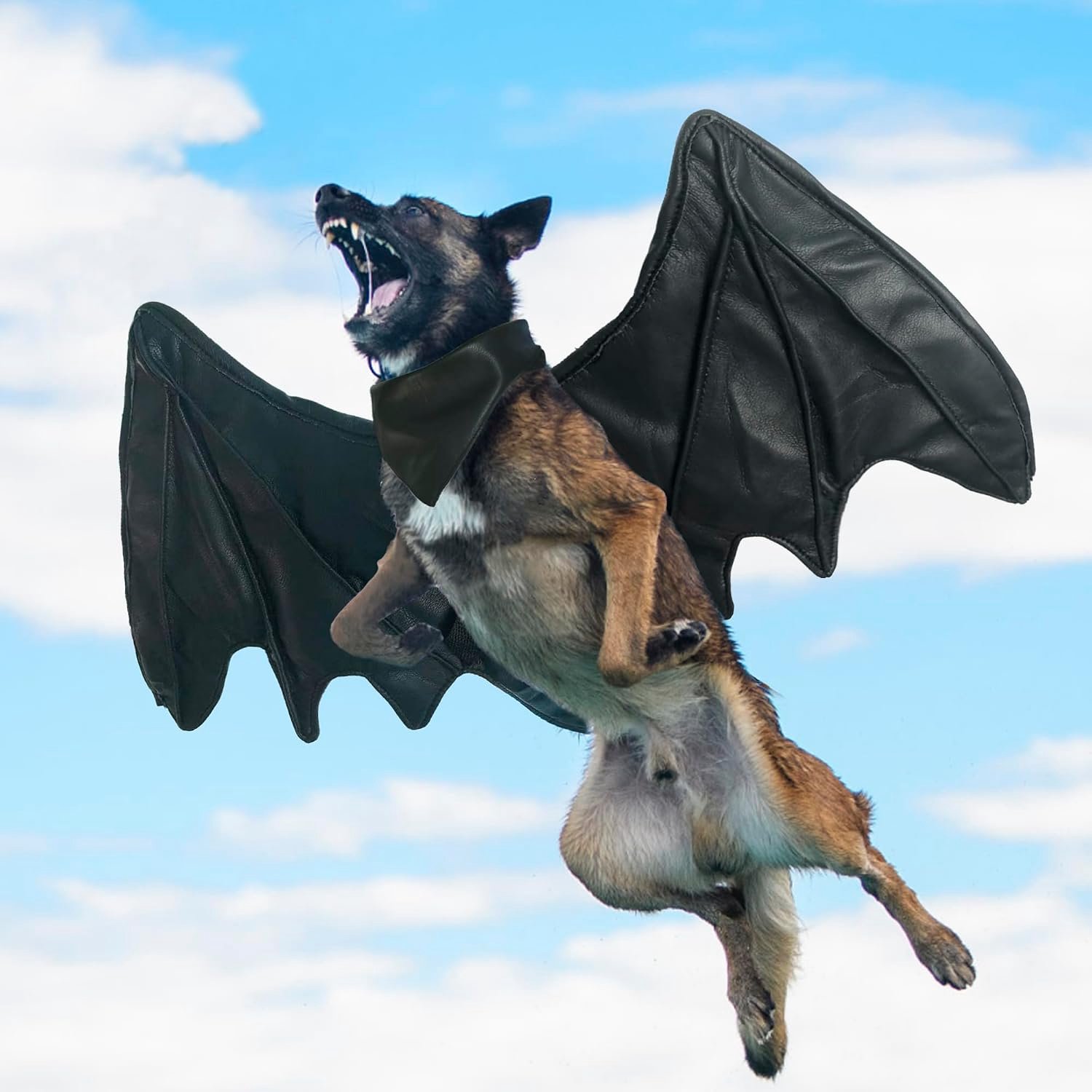 Vleermuisvleugel, kostuums voor hond, schattige harige huisdierkleding voor Halloween (zwarte vleermuisvleugel, maat L)