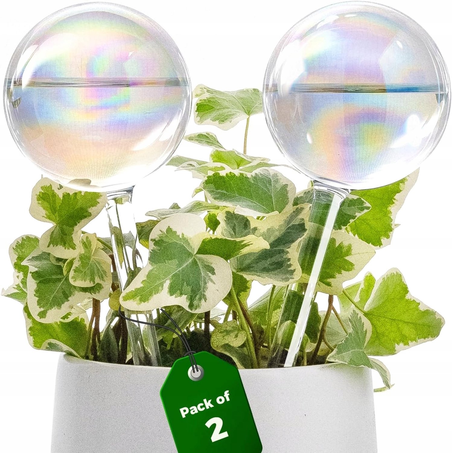 Automatische Zelfwatergevende Glazen Plantenstekers - 2 Stuks