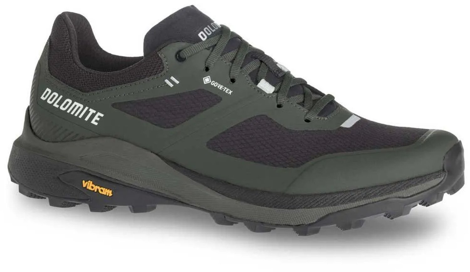 Dolomite Nibelia Gore-tex® Wandelschoenen Groen EU 46 1/2 Man