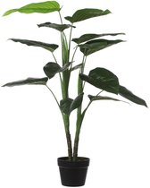 Mica Decorations Philodendron Kunstplant - H100x Ø70 cm - Groen