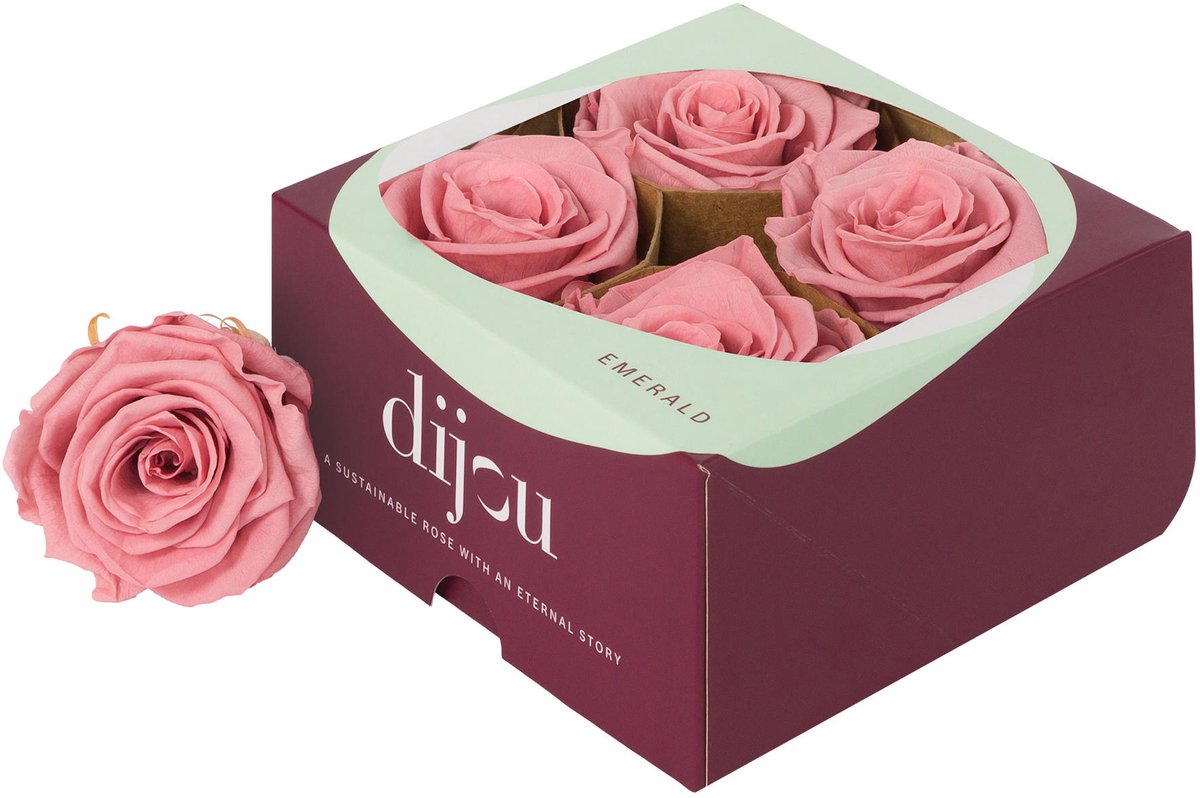 4x Dc pres.rozen dusty pink