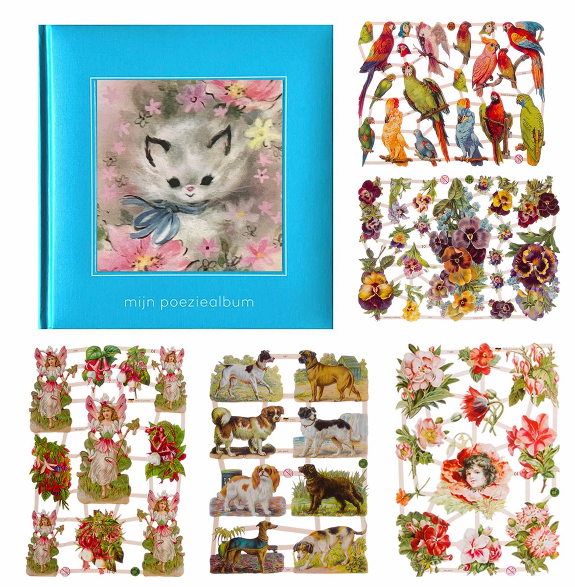 Poëziealbum - 16x16 - blauw met witte kat - met 5 vellen Poëzieplaatjes