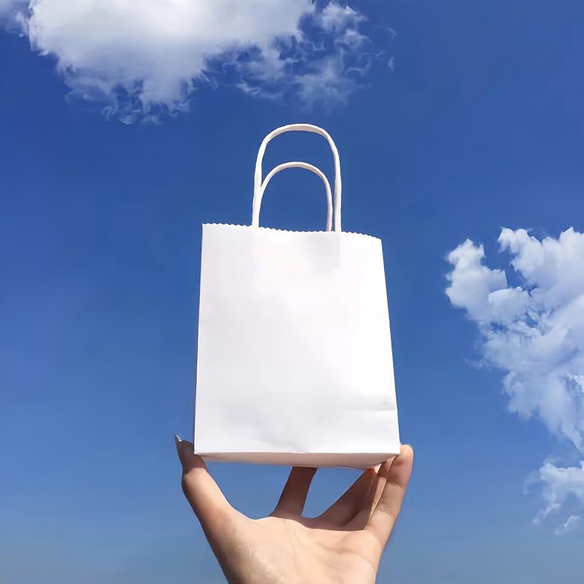 100 stuks mini-geschenkzakjes, witte shopper met handvat, kraftpapier, feestverpakking, gastgeschenk, afstudeerfeest, bruiloft