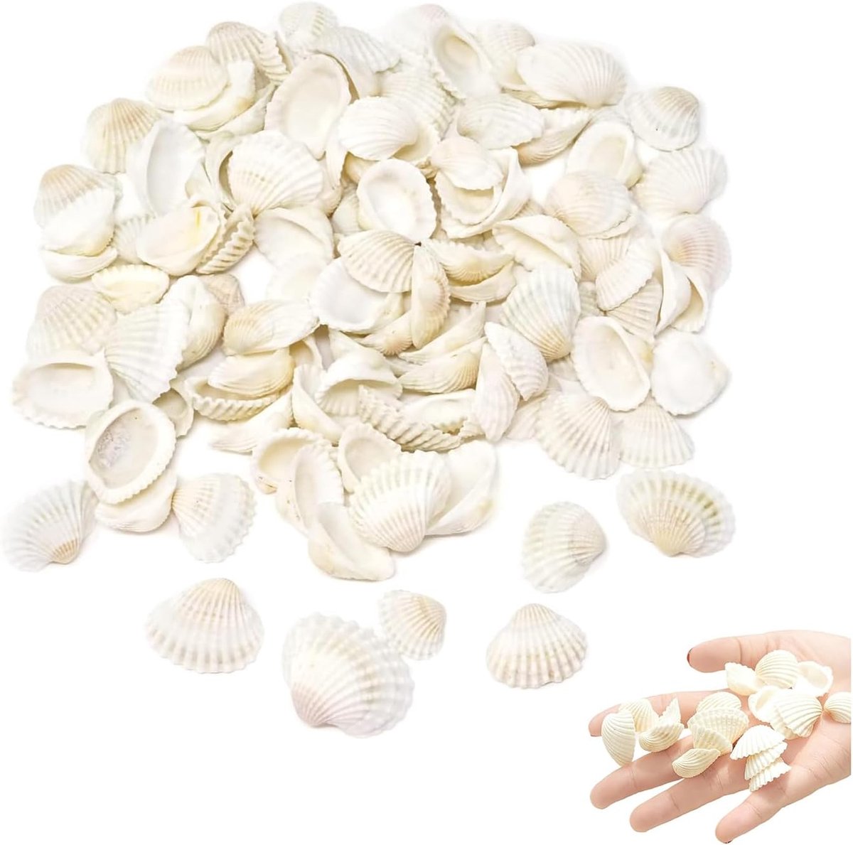 250 g kleine schelpen, natuurlijke witte schelpen, decoratie voor hangers, knutselen, decoratie of sieraden maken, decoratie