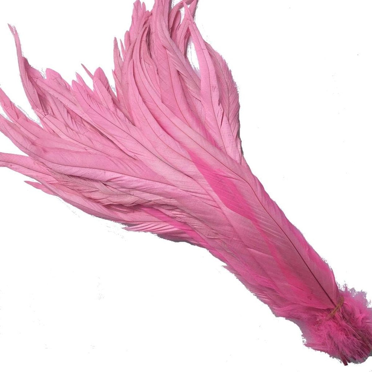 12-14 inch Haan Staart Veer Gebruik voor Hoeden Kostuum Decoratie Pack van 50 (roze)