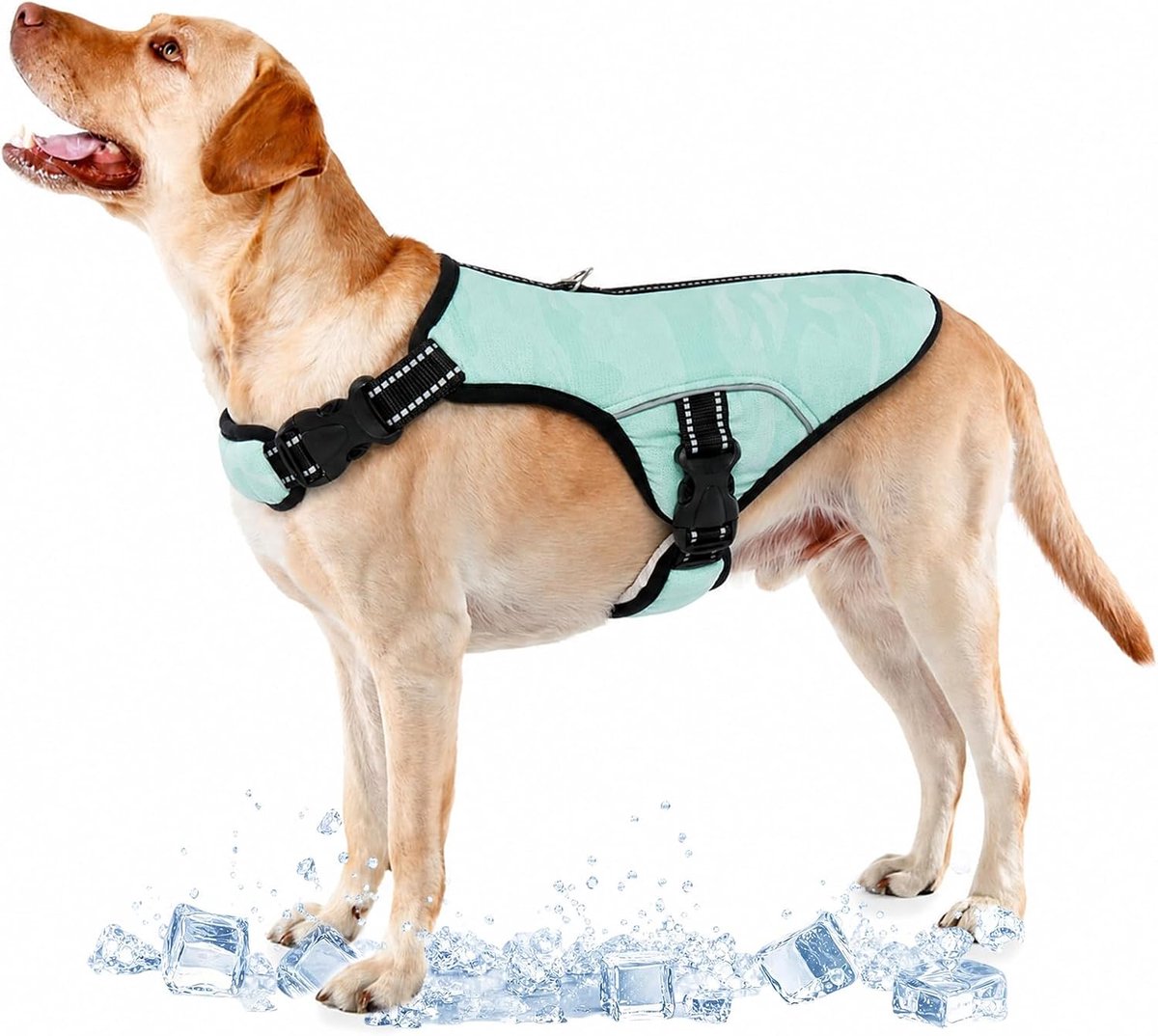 Zomerhondenjas, zomer koelvest hond zonbeschermende kleding ademend mesh ijsvest ademende koele jassen met reflecterende strepen (groen, 2XL)