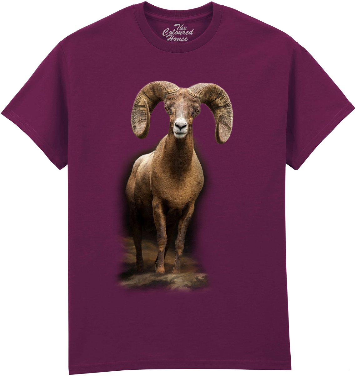 Dikhoorn Schaap High Mountain Patriarch The Coloured House T-shirt XXL