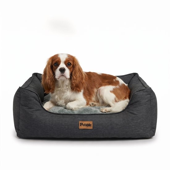 Panier pour chien gris foncé avec un Cavalier King Charles Spaniel, taille M.