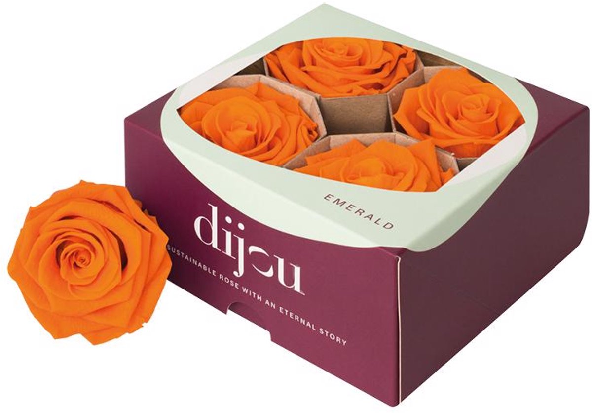 4x Dc pres.rozen orange 1505c