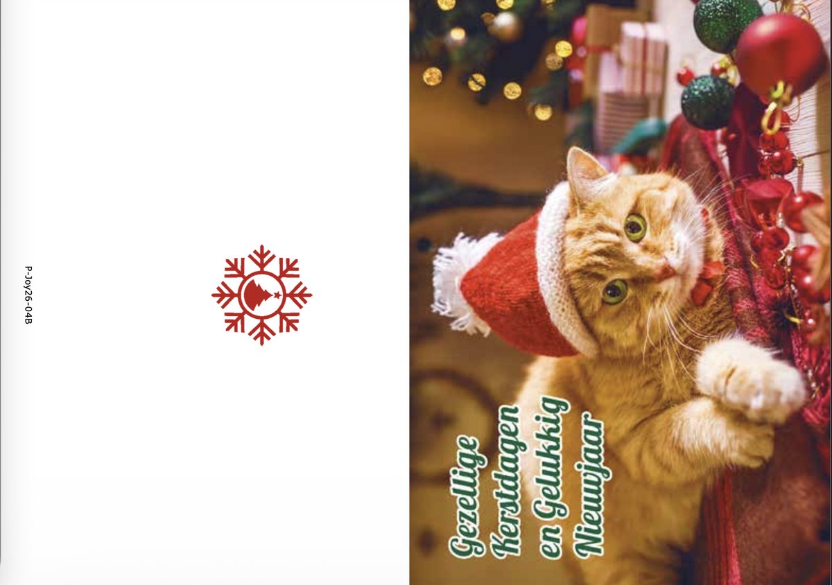 Kerstkaarten box Joy Animal 1 Cat