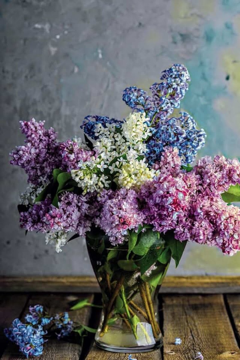 Lilac Bouquet: Lined Notebook