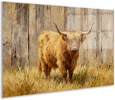 Acrylglas schilderij - Dieren - Koe - Stoer - Beige - Bruin - Keuken - Glasschilderij schotse hooglander - 120x80 cm