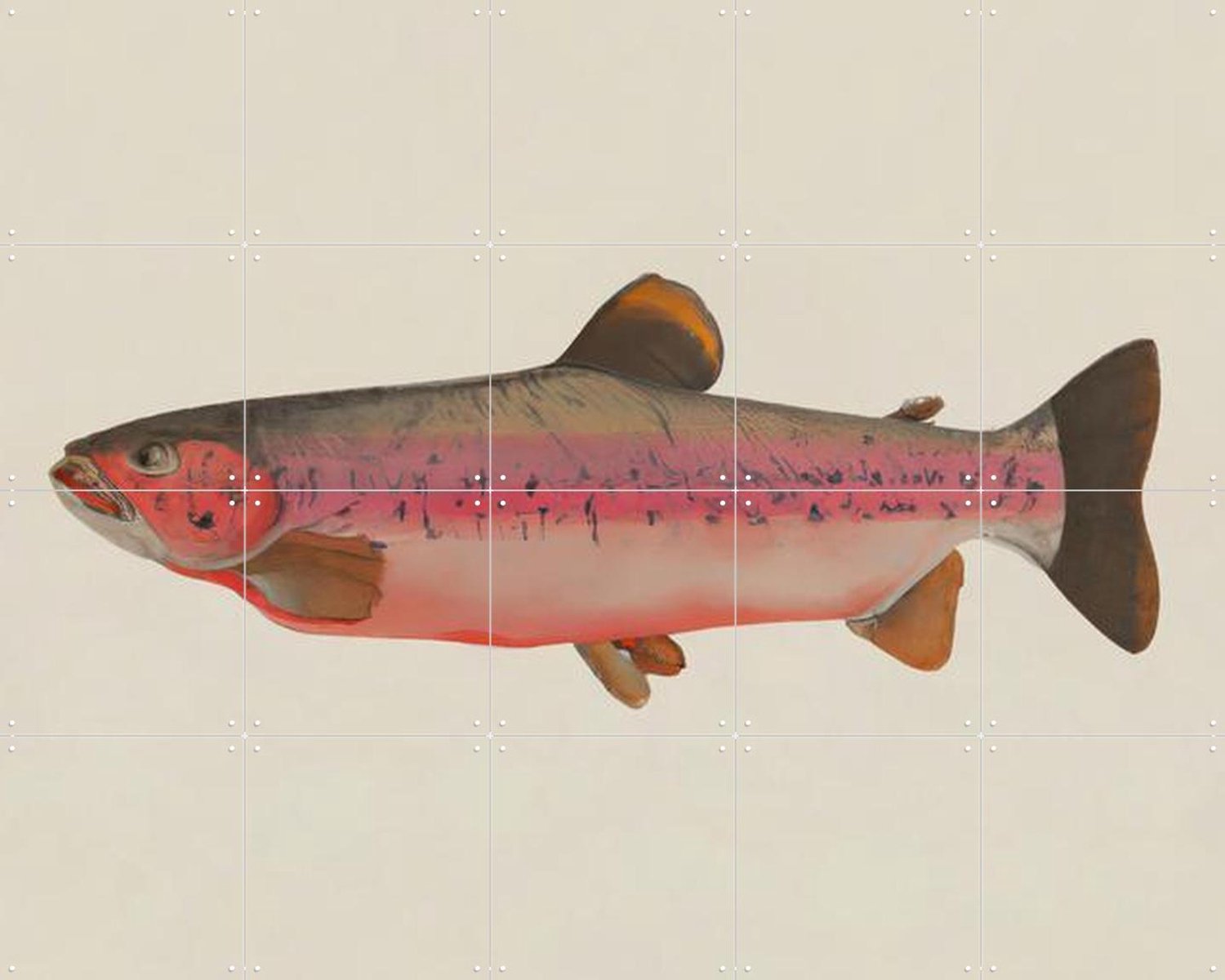 IXXI Fishy, Interiorisla - 100 x 80 cm - Grote wanddecoratie en posters - Illustraties, Keuken, Strandhuis, Woonkamer, Eetkamer, Vissen, Dieren Rood / Roze