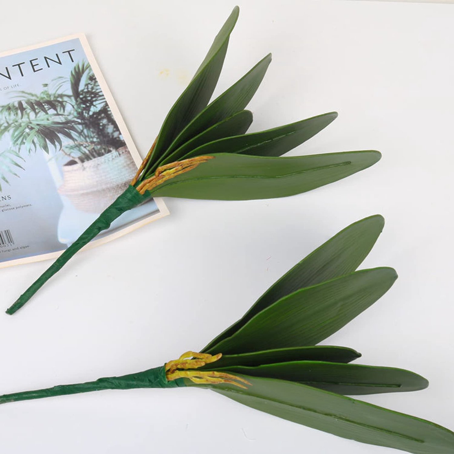 Kunstorchideeënblad 26 cm - Echt uitziende wortels - Groene latex arrangement - Perfect voor decoratie - ServiceTopper