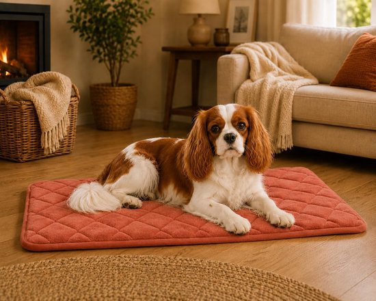 Cavalier King Charles Spaniël ontspant op een roestkleurig gewatteerd kussen in een sfeervolle woonkamer.