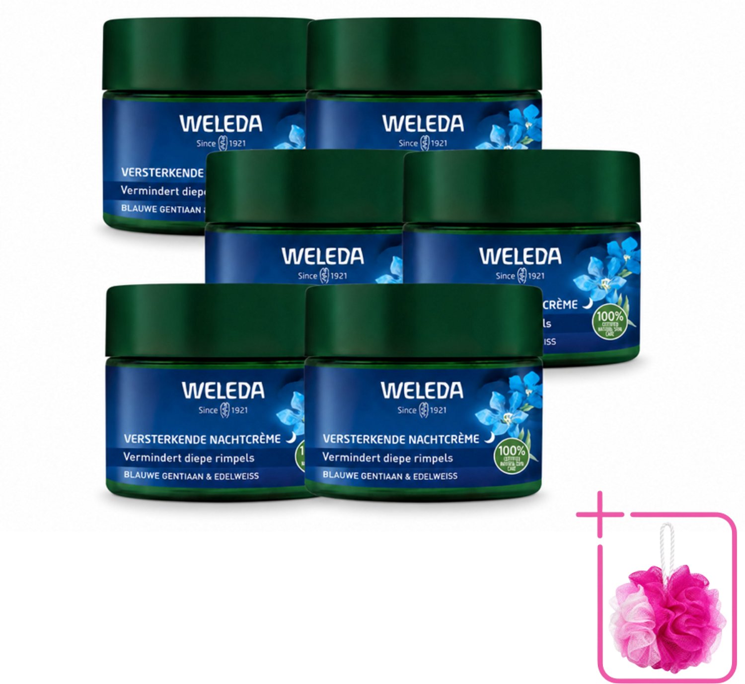 6 x WELEDA - Nachtcrème Versterkend - Blauwe Gentiaan & Edelweiss - 40 ml - Bulkverpakking - Nachtcrème - Huidversterken