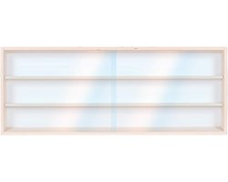 Alsino H0 & N, V-80.3a Vitrine, verzamelaarsvitrine met spoor, 80 x 30 x 8,5 cm, rek 80 cm, 3 niveaus met groeven
