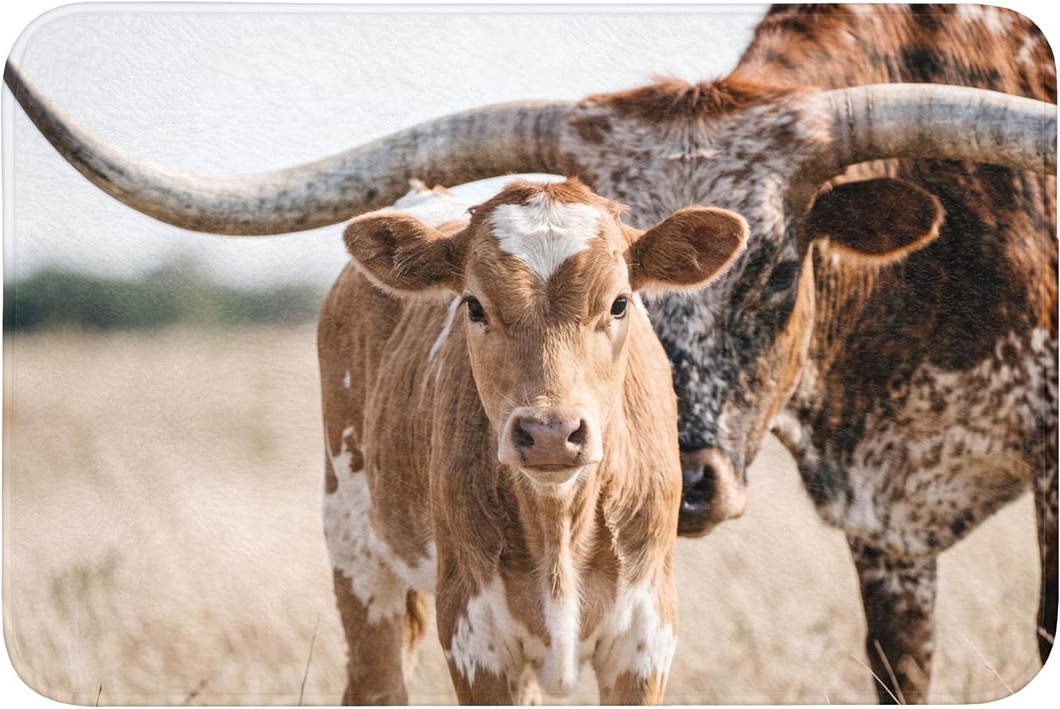 Badmat Rechthoekig 90x60 cm Badkamer Bath Mat Douchemat Antislip Wc Badkamermat Memory Foam Wasbaar Bathroom Toilet Mats Washable Texas Longhorn - Kalf - Weide - Dieren