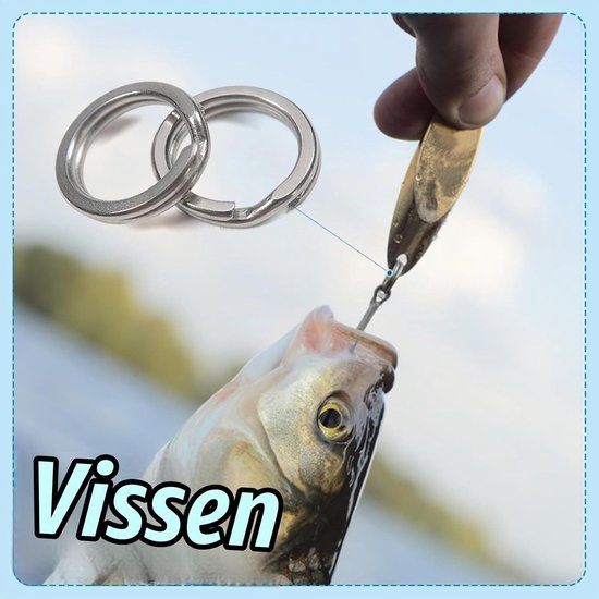 30 Stuks Platte Splitringen 10mm Kleine Sleutelhanger Lussen RVS Sleutelhanger Ringen voor Vissen, Sleutels en Handwerk — afbeelding 4