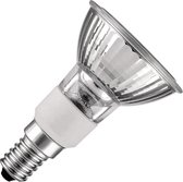 SPL | Halogeen PAR Reflectorlamp | Kleine fitting E14 | 50W