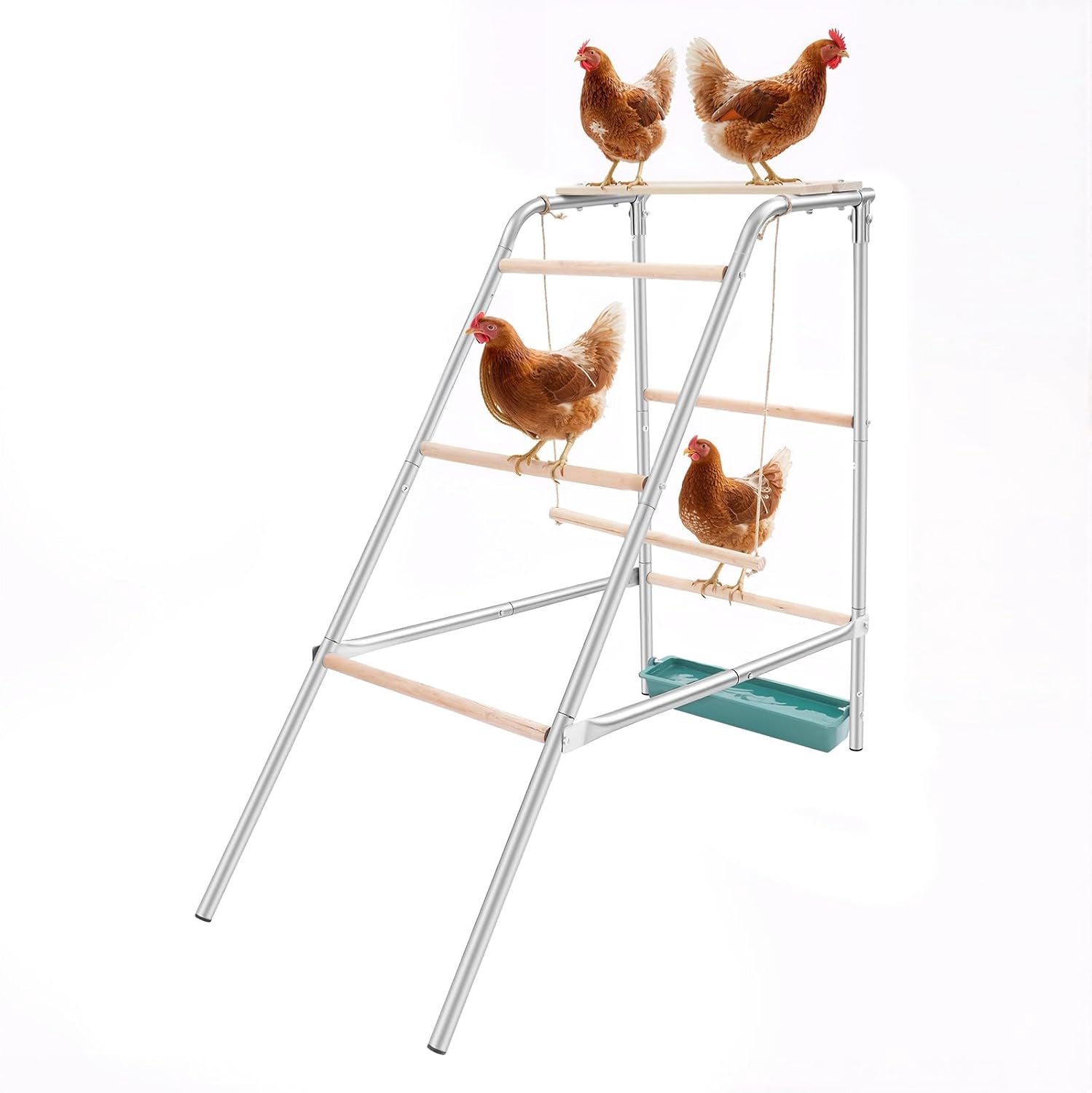 Kippenhok zitstok, kippenstokken met schommel en houten stang, speelplaats met zitstokken voor boerderijen, kippenhokken in de achtertuin en landbouwproeflocaties