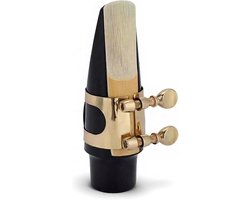 Alto Saxophone Mouthpiece, ABS Mouthpiece Set with Cap, Metal Buckle and Reed Pads for Professional Musicians - ShopVlot