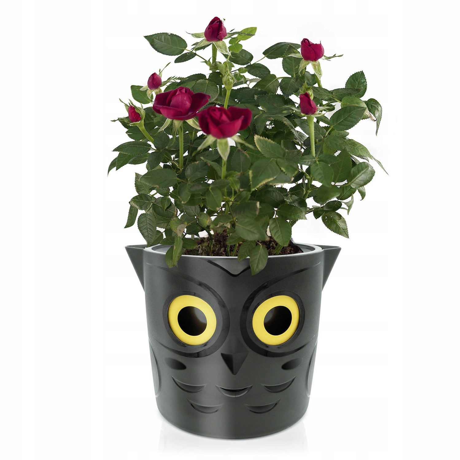 MAXIMEX bloempot »Uil «