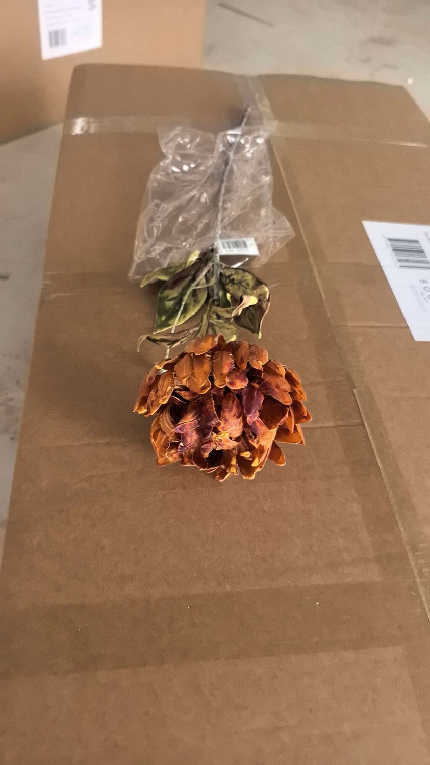 Kunstbloem gedroogde pioen 65cm koperbruin