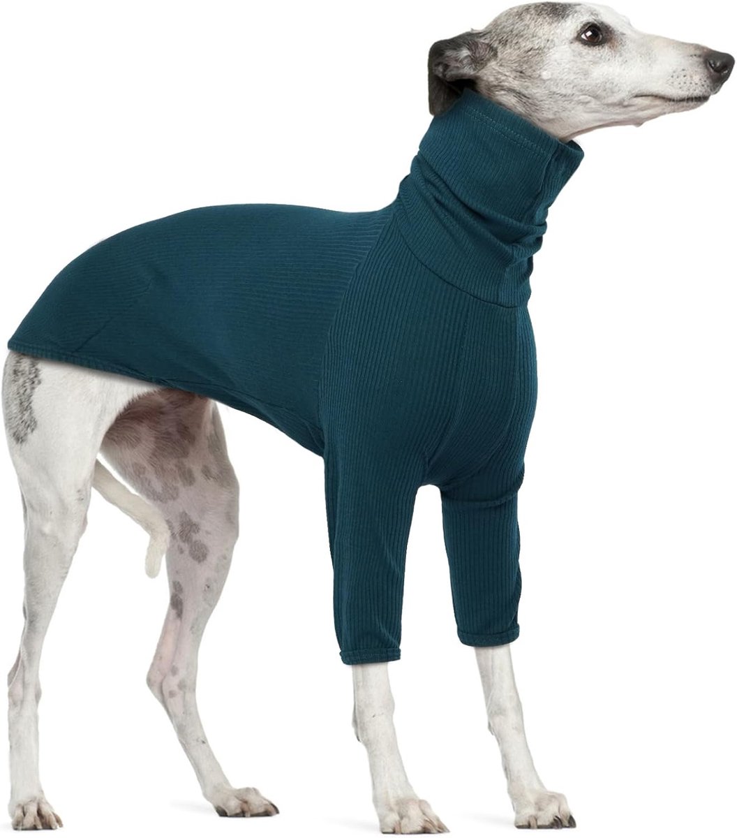 Jumper en Greyhound Jas - Pullover Shirt Voor Grote Honden - Medium Maat Coltrui Kleding (Blauw, L)
