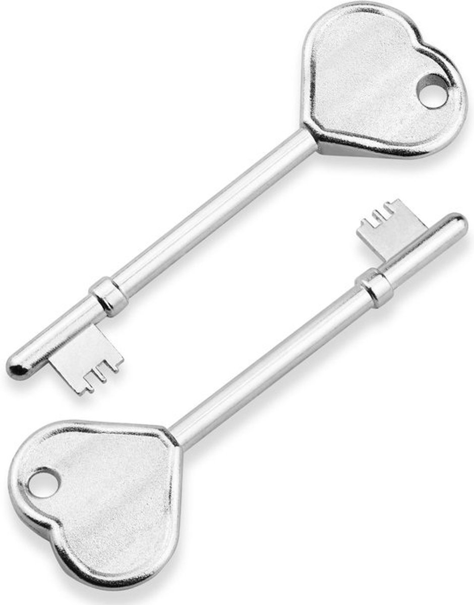 WC-Sleutel - Volledig Metaal & Verbeterd - Voor Invalidentoilet - Set van 2 Stuks
