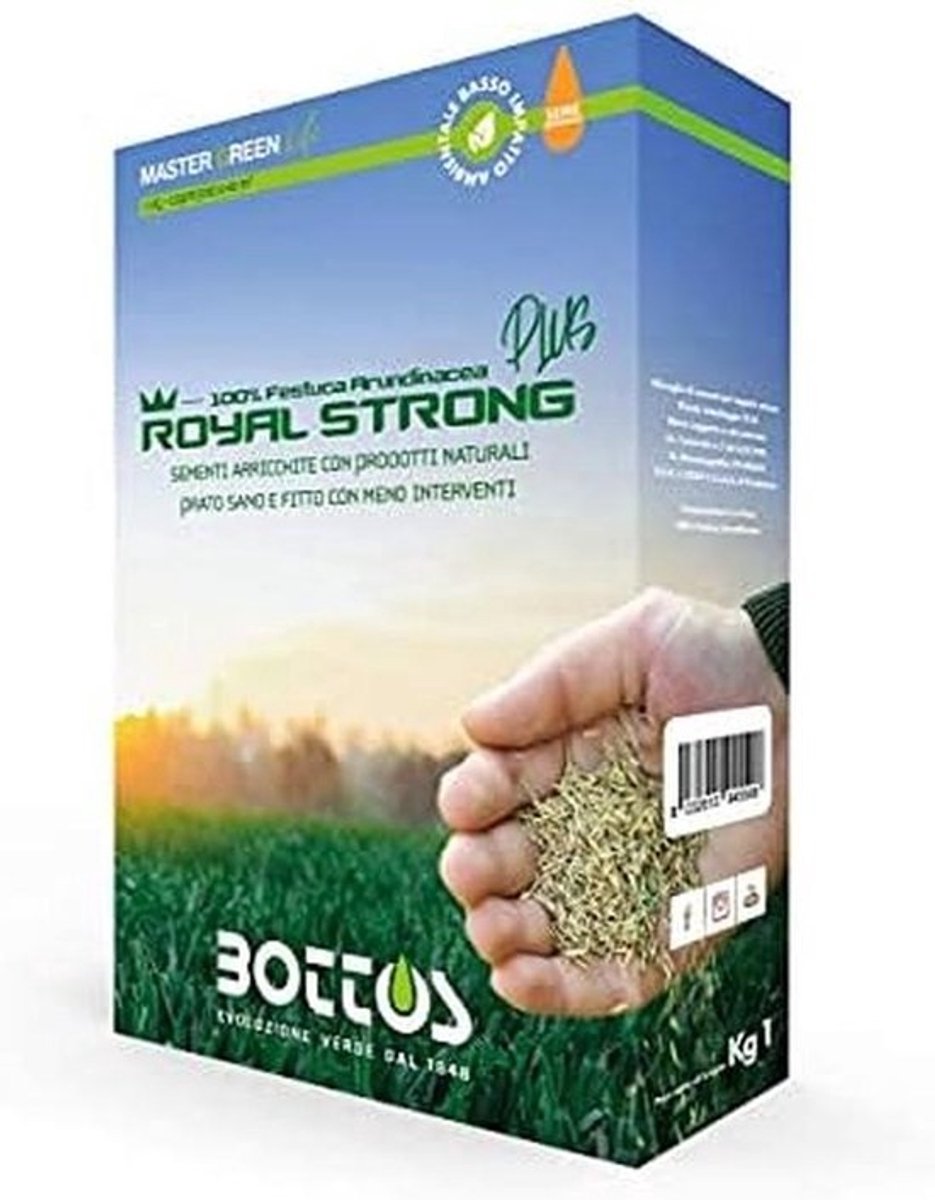 Graszaad Royal Strong Plus 1 kg – Dicht, Slijtvast Gras voor Drukbereide Tuintapijten