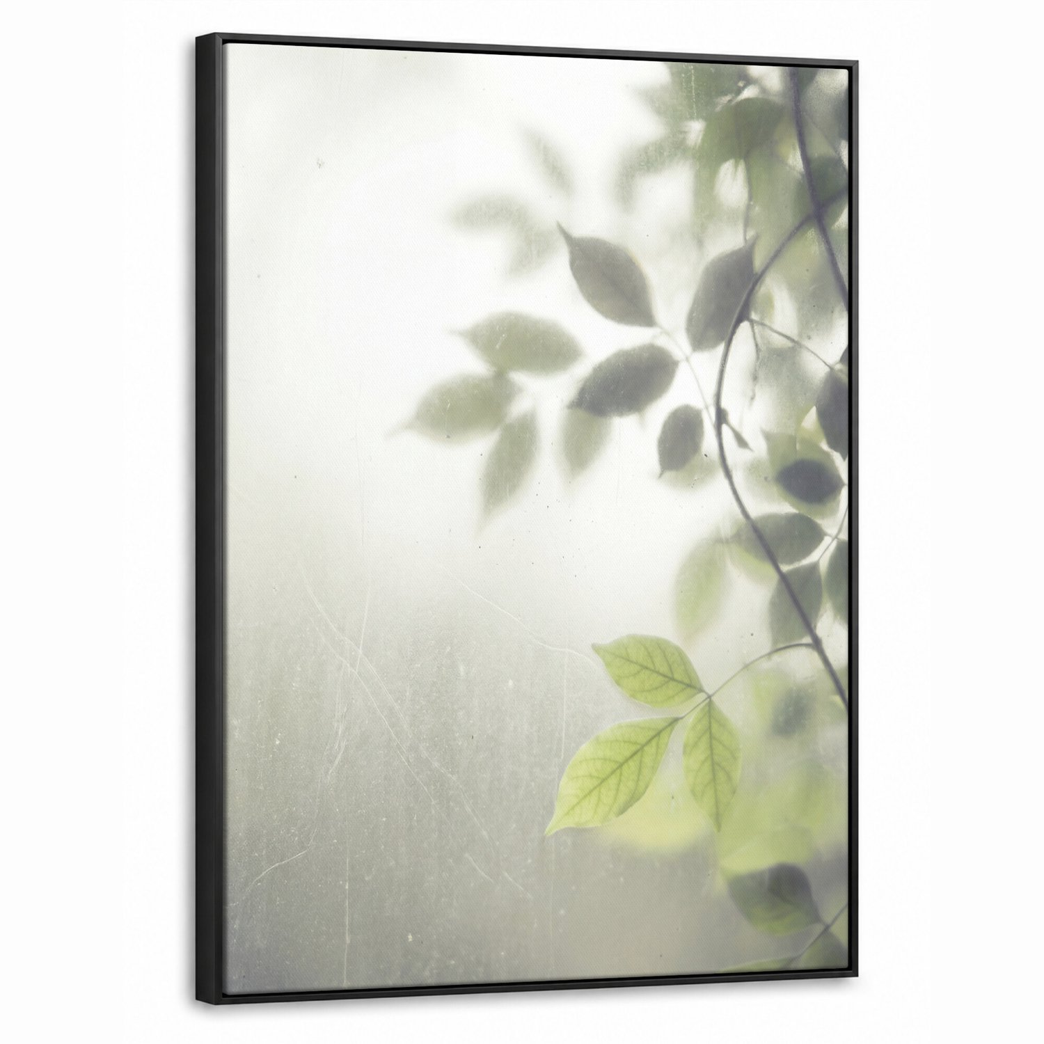 Canvas Schilderij met Baklijst - Blad - Schaduw - Natuur - Abstract - Groen