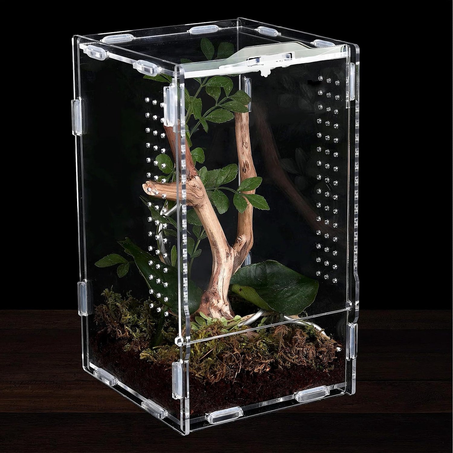 Acryl Terrarium Box met Pincet voor Insecten en Reptielen - 12 x 12 x 20 cm