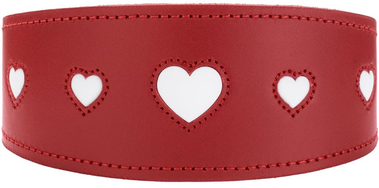 Hondenhalsband Met Hartmotief - Rood/Zwart