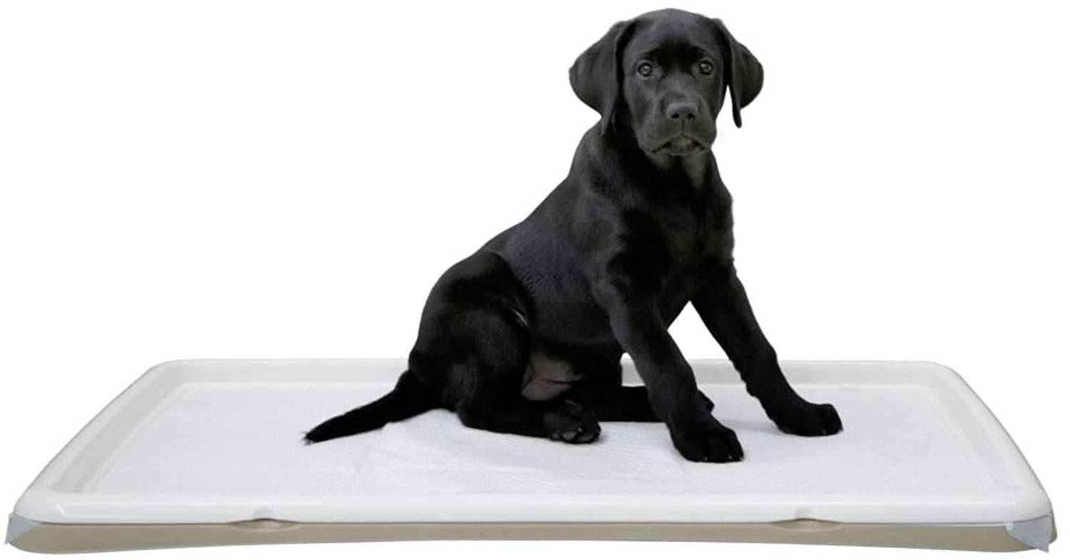 Puppy Toilet XL - Wit - 60 x 90 cm