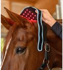 Iemand plaatst een infraroodpad op het hoofd van een paard, met rode verlichting zichtbaar.